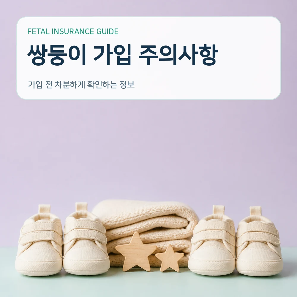 태아보험 쌍둥이 가입 주의사항